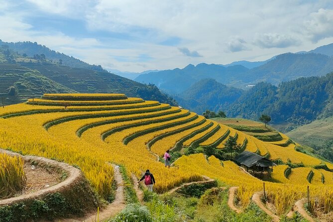 Half Day Private Trekking Mu Cang Chai_Morning or Afternoon - A private half-day trek that doesn’t feel rushed
