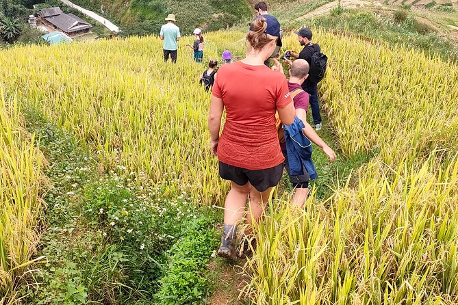 Half Day Private Trekking Mu Cang Chai_Morning or Afternoon - Stop in Mu Cang Chai: villages, terrace valleys, and everyday work