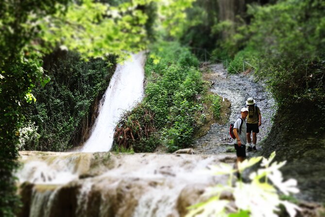 Half-Day River Trekking Stenosia from Kalamata - Key Highlights You’ll Care About