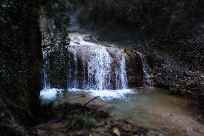 Half-Day River Trekking Stenosia from Kalamata - Guide Quality: Why George and Alex Make It Click