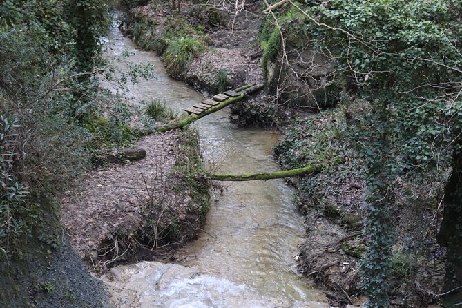 Half-Day River Trekking Stenosia from Kalamata - Fitness and Safety: How Challenging Is It Really?