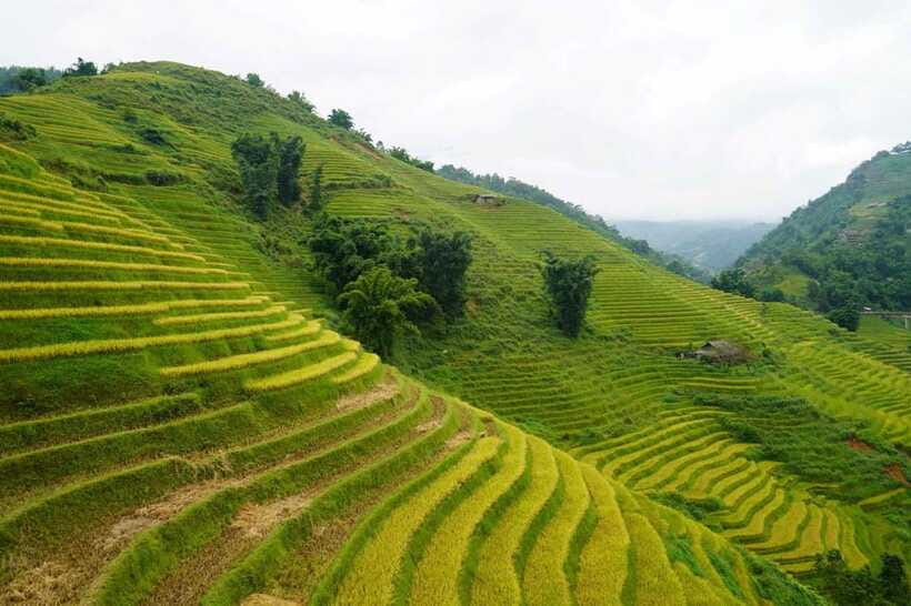 Half Day Sapa Trekking to Visit Lao Chai - Ta Van - Lao Chai village time: photos are great, but conversation is the point