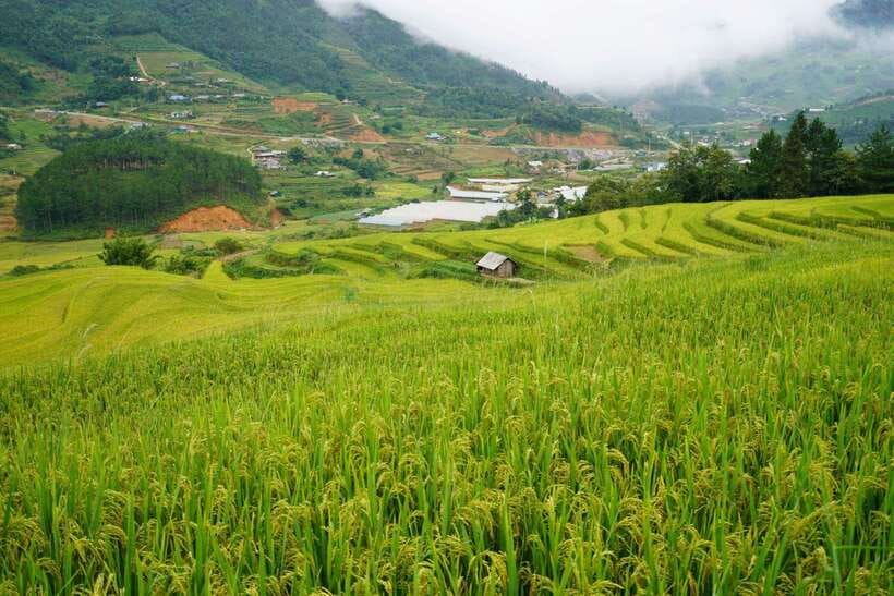 Half Day Sapa Trekking to Visit Lao Chai - Ta Van - Ta Van break and Dzay culture: a quieter village feel after the terraces