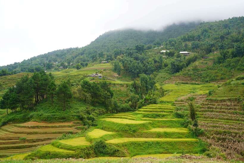 Half Day Sapa Trekking to Visit Lao Chai - Ta Van - What to bring: your 9 km toolkit for comfort and safety