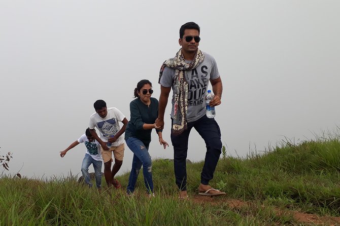 half day trekking - Why This Munnar Half-Day Trek Works for First-Time Hikers