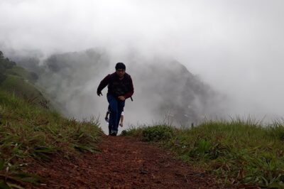 half day trekking - Tea Plantation Walking: Seeing Cultivation From the Ground Up