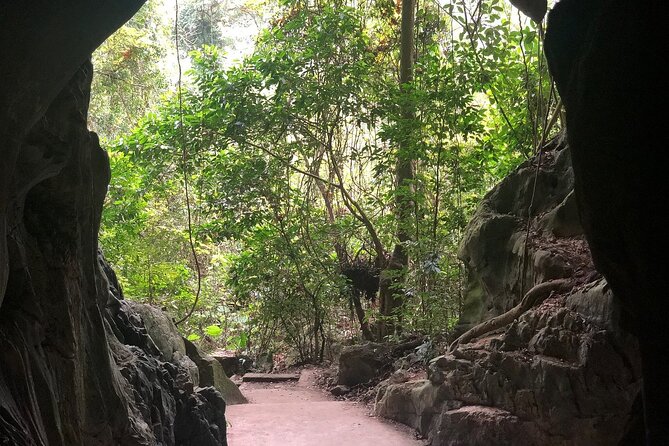 Half Day Trekking Cat Ba National Park - Ngu Lam Peak steps: primeval forest views with a workout factor