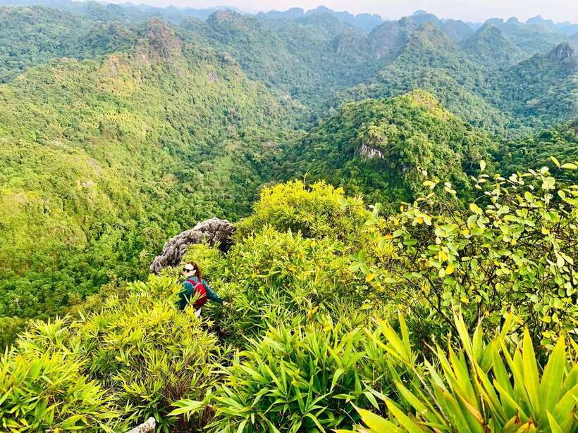 Half Day Trekking Cat Ba National Park - Who Should Book This Half-Day Trek, and Who Should Skip It