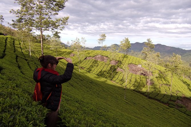 Half day trekking (munnar valley Trekking & Tours ) - Price and Value: Why This Feels Like a Bargain at About $8