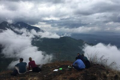 Half day trekking (munnar valley Trekking & Tours ) - What You’ll Actually See: Tea Plantations, Coffee and Cardamom Stops