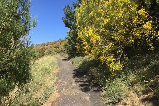 Half day Trekking Tour on Etna - Silvestri craters and a lava cave you can actually visit