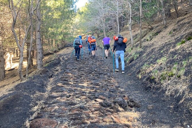 Half day Trekking Tour on Etna - The 1991–1993 lava front and Oro d’Etna tasting