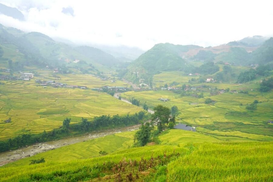 Half Day Visit Y Linh Ho,Lao Chai,Ta Van Trekking With Lunch - Rice Terraces and Muong Hoa Stream: The Walk That Makes the Half-Day Worth It