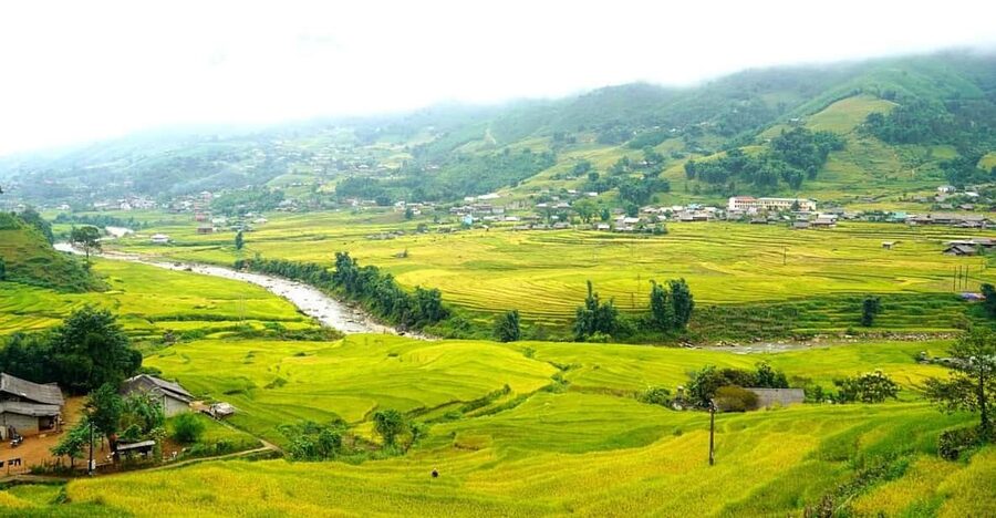 Half Day Visit Y Linh Ho,Lao Chai,Ta Van Trekking With Lunch - The Return to Sapa: Air-Conditioned Bus Relief and a Clean Finish