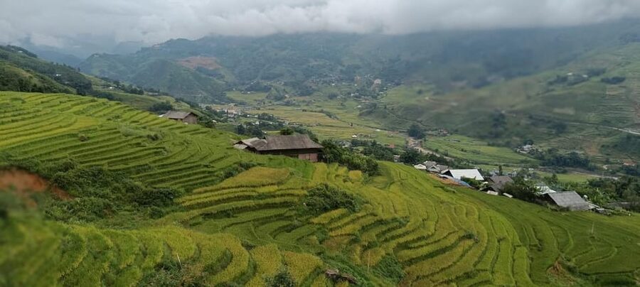 Half Day Visit Y Linh Ho,Lao Chai,Ta Van Trekking With Lunch - What $23 Gets You: Value, Inclusions, and What to Budget for