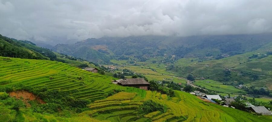 Half Day Visit Y Linh Ho,Lao Chai,Ta Van Trekking With Lunch - Lao Chai Black Hmong Village: Culture, Questions, and a Little Shopping Time