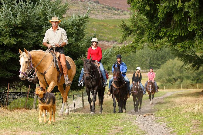 Half Day Walter Peak Horse Trek and Cruise from Queenstown - What to bring (so you don’t freeze mid-ride)