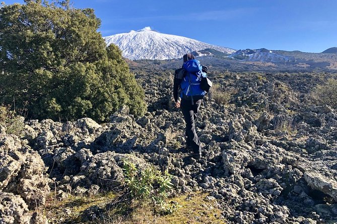 Half or full day trekking on Etna with private guide - Price and Value: When This Etna Trek Feels Worth It