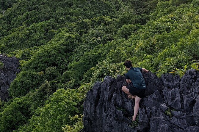 Halfday trekking Cat Ba Butterfly valley (more intense) - Butterfly Valley to Cat Ba National Park: the deal you’re making with the jungle