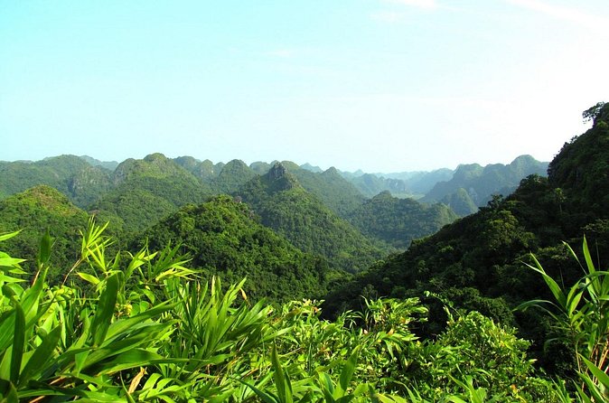 Halfday trekking Cat Ba Butterfly valley (more intense) - Guide quality is the difference between fun and frustration