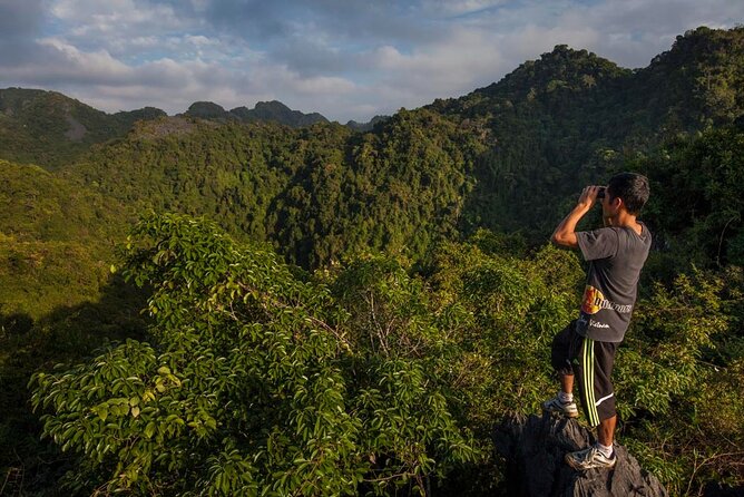 Halfday trekking Cat Ba Butterfly valley (more intense) - The 8:00–12:00 schedule that keeps your day from disappearing