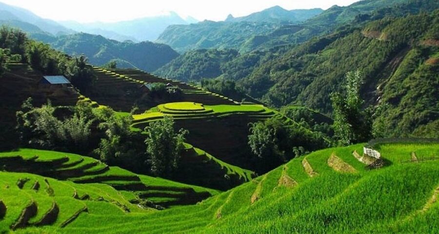 Hanoi: 2-Day Sa Pa Guided Village & Homestay Trekking Tour - Hanoi Old Quarter Pickup to Sapa Town: Getting There Without Stress
