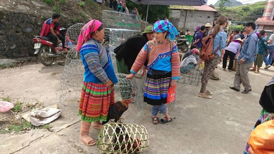Hanoi: 2-Day Sa Pa Guided Village & Homestay Trekking Tour - Photography Moves: Rice Terraces That Let You Stop Often