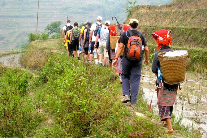 Hanoi- 2 Days Sapa moutain trekking with Local Guide and Homestay - Timing, footwear, and the weather factor that can change plans