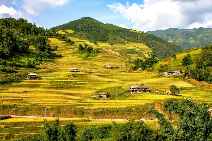 Hanoi: 3-Day Sapa Trek with Homestay - When the plan changes: what I’d confirm before you go