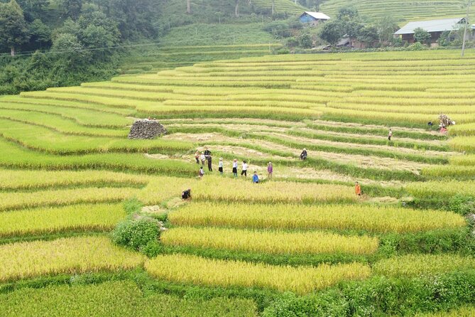 Hanoi - Sapa 2 Days 1 Night Overnight At Local Homestay - How hard is the trekking? The pace is the point