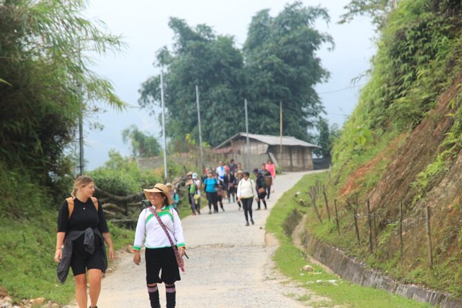 Hanoi - Sapa 3 Day 2 Night Trekking With Hotel & Homestay - Day 3 trek: Giang Ta Chai + Su Pan and the final return
