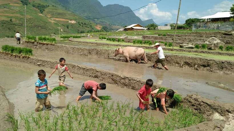 Hanoi- SaPa: 3-Day Homestay Trek to Explore Ethnic cultures - What to pack (and how to get the most from village time)