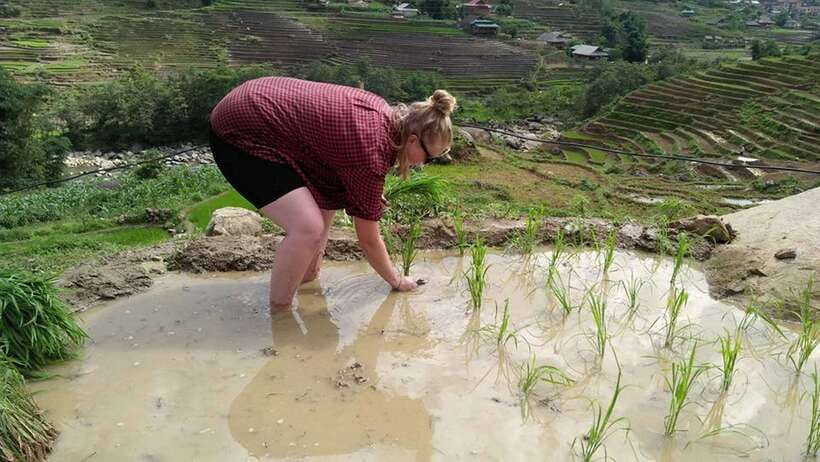 Hanoi- SaPa: 3-Day Homestay Trek to Explore Ethnic cultures - The overnight Hanoi to Sapa start: efficient, but be ready