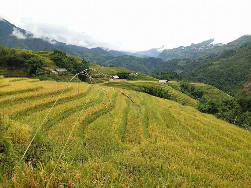 Hanoi- SaPa: 3-Day Homestay Trek to Explore Ethnic cultures - Food, water, and the homestay rhythm