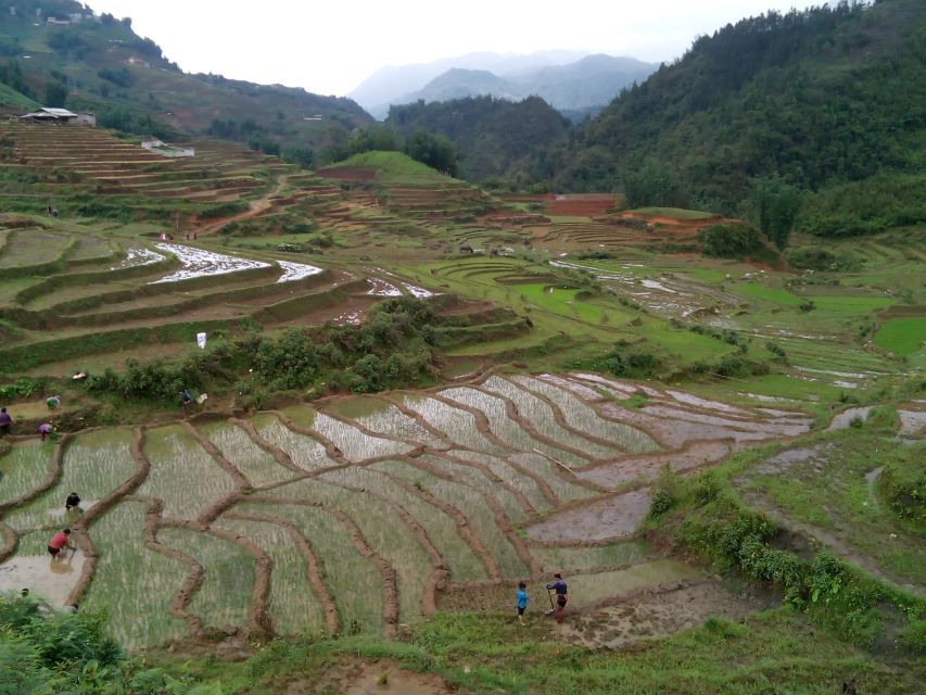 Hanoi- SaPa: 3-Day Homestay Trek to Explore Ethnic cultures - Price and value: why $139 can make sense (or not)