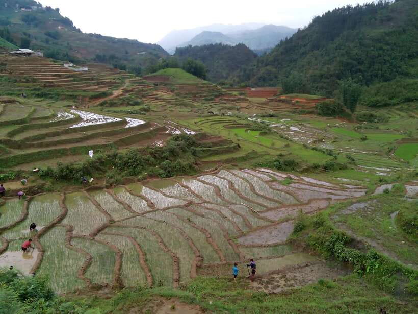 Hanoi- SaPa: 3-Day Homestay Trek to Explore Ethnic cultures - Who this trek is for, and who should skip it