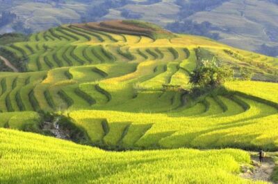 Hanoi-Sapa Trek 2 days 2 nights and Homestay with small group - Day-by-Day: Cat Cat, Lao Chai, Ta Van, Giang Ta Chai and Su Pan