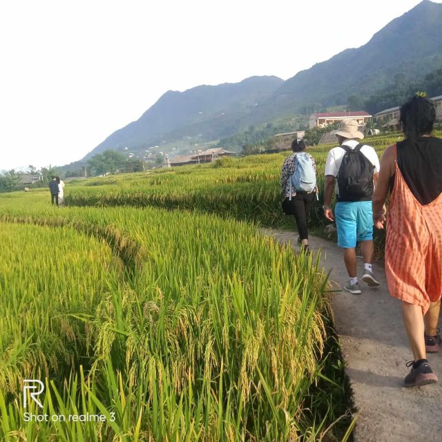 Hanoi: Sapa Trekking 2 Days 1 Night - Sleeper Bus from Hanoi - Food on the Trail: Included Meals and What to Think About