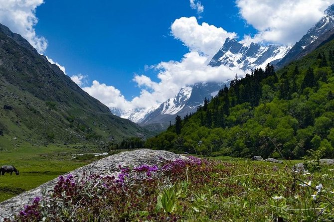 Har Ki dun Trek by Himalaya Shelter - Key takeaways before you commit