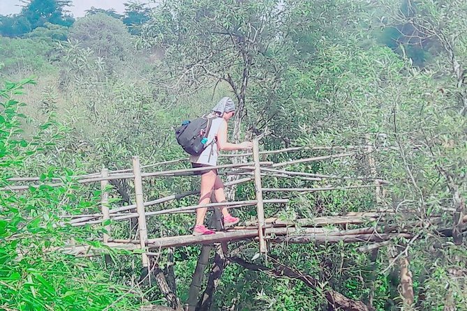 Hello, who like to make fantastic trek with the most experienced guide in Kalaw. - Villages, gardens, and rice plantations: seeing daily life up close
