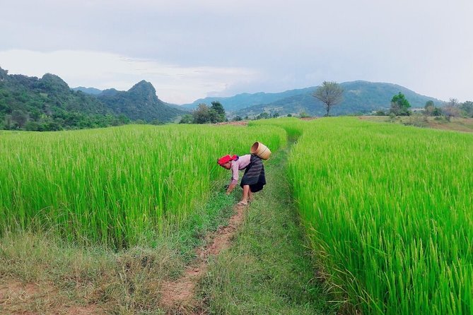 Hello, who like to make fantastic trek with the most experienced guide in Kalaw. - Pace and difficulty: what fits you best