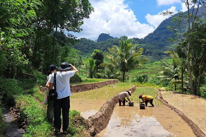 Hidden Waterfall & Selogriyo Rice Terraces Trek from Yogyakarta - Why this trek beats the usual Yogyakarta checklist