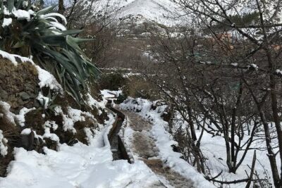 High Atlas Mountains Day Trip and Camel Trek - Price and value: what $33.82 covers (and why it’s fair)