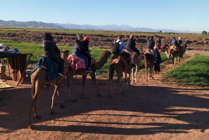 High Atlas Mountains Day Trip and Camel Trek - The drive out of Marrakech: how it sets up your day