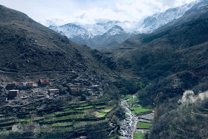 High Atlas Mountains Day Trip and Camel Trek - Lunch and tea: included food that actually matters