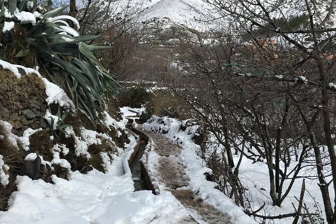High Atlas Mountains Day Trip and Camel Trek - Price and value: what $33.82 covers (and why it’s fair)