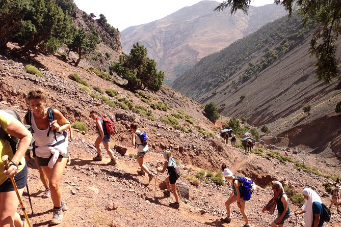 High Atlas Mountains Full Day Trek - Why This High Atlas Day Trek Beats DIY Hiking From Marrakech