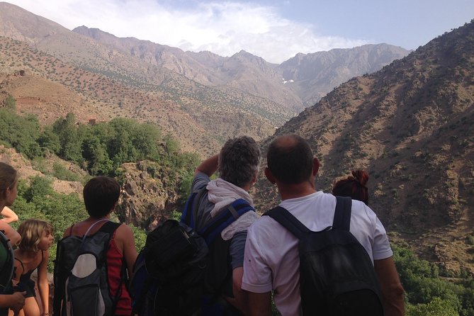 High Atlas Mountains Full Day Trek - Starting Easy, Then Turning Serious: Walking Toward Tizi Mzik (2480m)