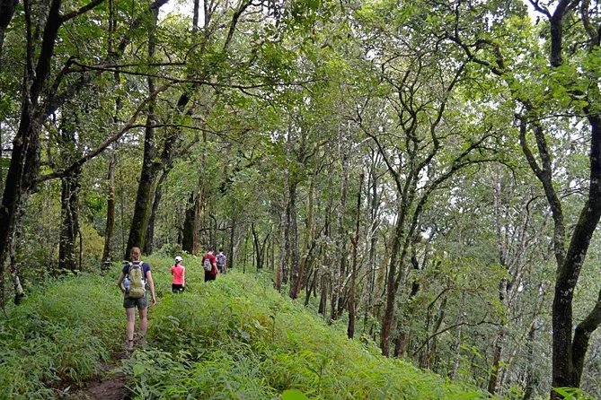 High Mountain Day Trek - Key things that make this trek worth your time