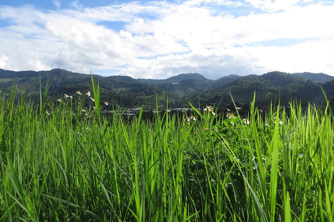 High Mountain Day Trek - Lunch at a rustic homestay: where the flavors and the setting both matter